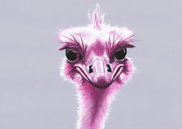Magenta Ostrich
