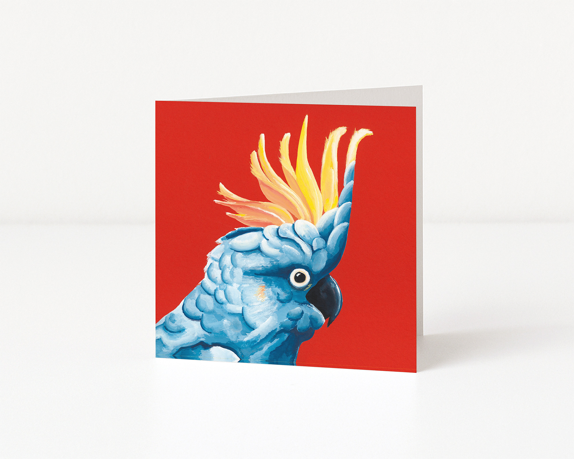 The Complete Henry Fraser Greeting Card Collection: Pack of 10 - Image 3