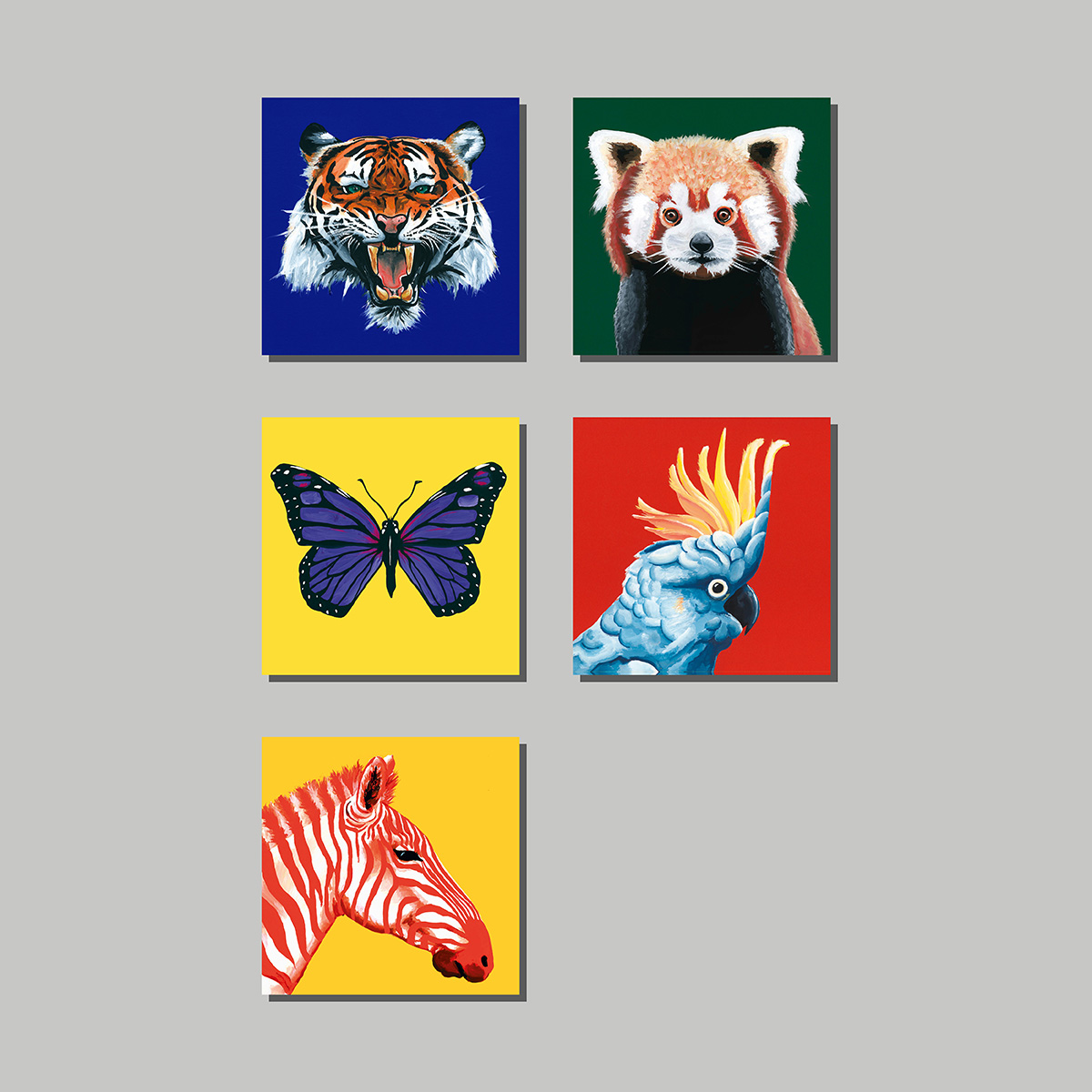 Animals Greeting Card Collection: Pack of 5 - Image 2