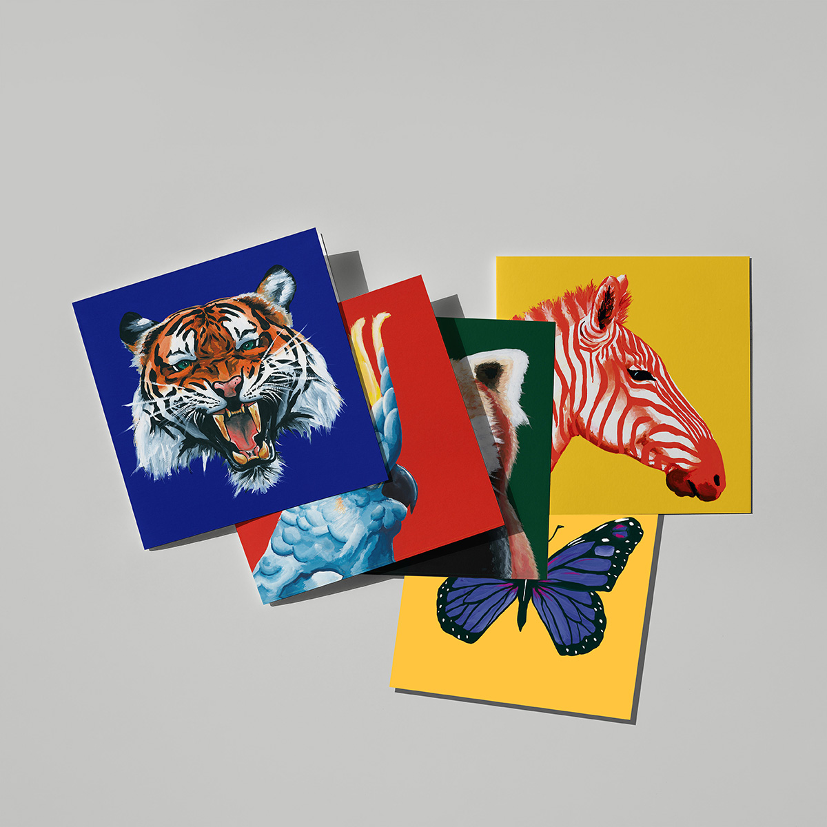 Animals Greeting Card Collection: Pack of 5