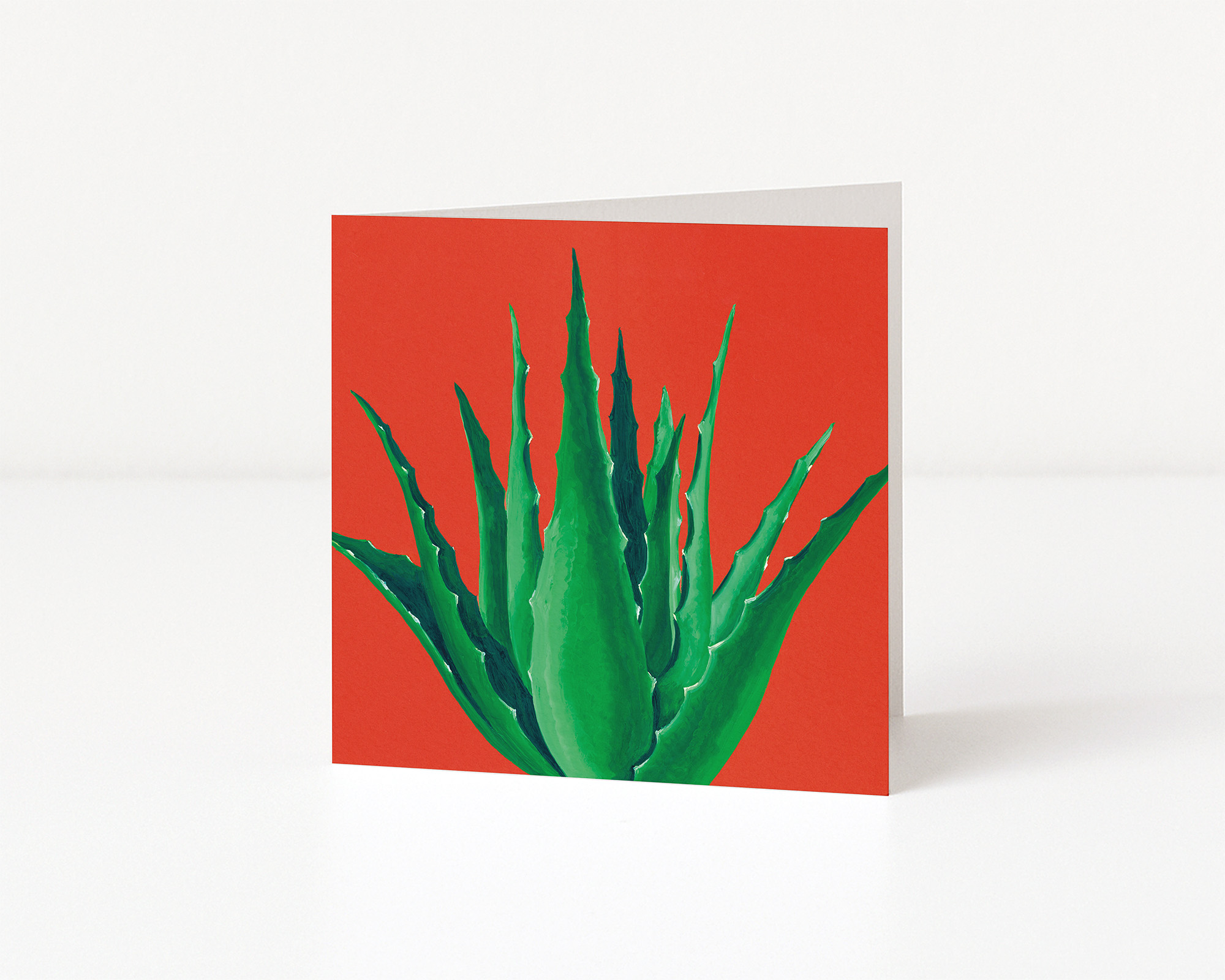 The Complete Henry Fraser Greeting Card Collection: Pack of 10 - Image 7