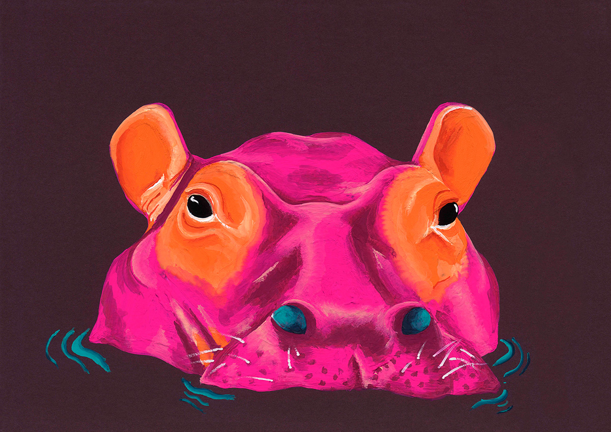 Hippo