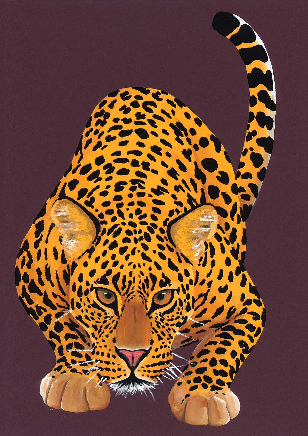 Leopard (Big Cat Series)