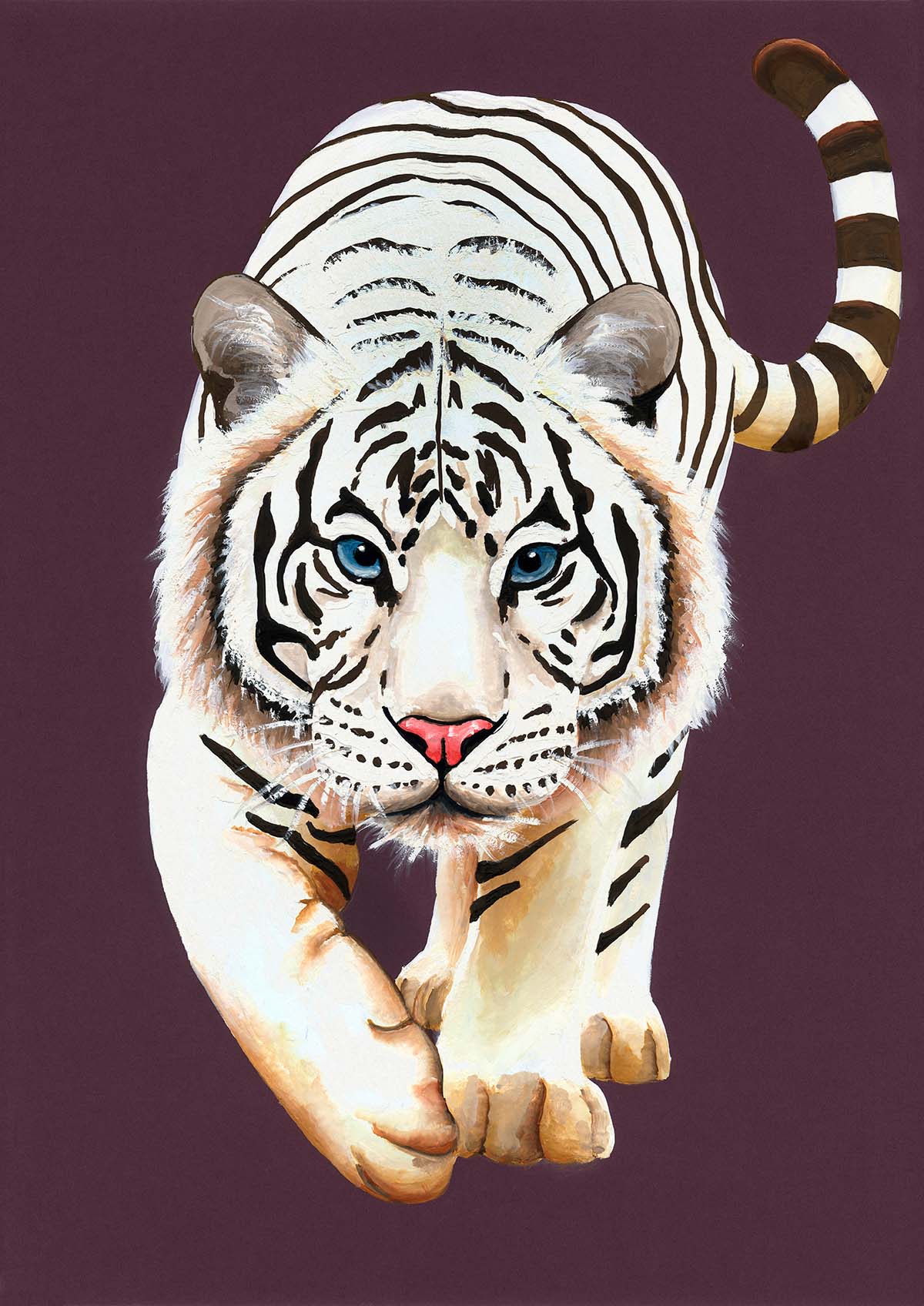 White Tiger (Big Cat Series)